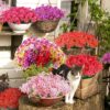 faab4e0b5a92235c 24 Bundles Artificial Flowers for Outdoor,No Fade Fake Plastic Flowers Faux Plants for Decoration Hanging Planters Indoor Outside Garden Porch Window Box Home Wedding Farmhouse