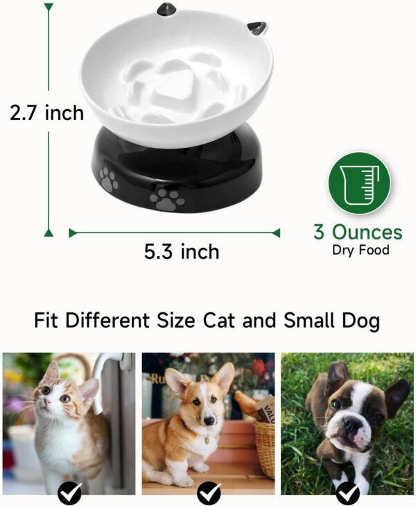 Y YHY Slow Feeder, Elevated Food Bowl Tilted Design for Dog and Cat for Dry and Wet Food