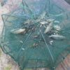 Fishing Net Folded Hexagon Octagon 6/8 Holes Shrimp Automatic Crayfish Catcher Fish Network Baits Cast Mesh Trap