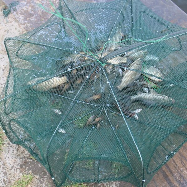 Fishing Net Folded Hexagon Octagon 6/8 Holes Shrimp Automatic Crayfish Catcher Fish Network Baits Cast Mesh Trap