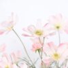fd83f14c2057fde9 2 Pcs Artificial Flowers Plants Calliopsis Silk Flower Arrangements Wedding Bouquets Decorations Plastic Floral Table Centerpieces for Home Kitchen Garden Party Decor Approx 23.6'' High - Light Pink