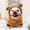 ff531503c8c150dd Warm Fleece Hoodie Dog Clothes for Small Dogs Winter Pet Clothing Puppy Cat Costume French Chihuahua Jacket