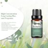 ff7e10eaf0d6d7a5 PHATOIL 10ml Vanilla Eessential Oil for Aroma Candles Making Spa Massage Humidifier Sandalwood Black Pepper Ginger Tea Tree