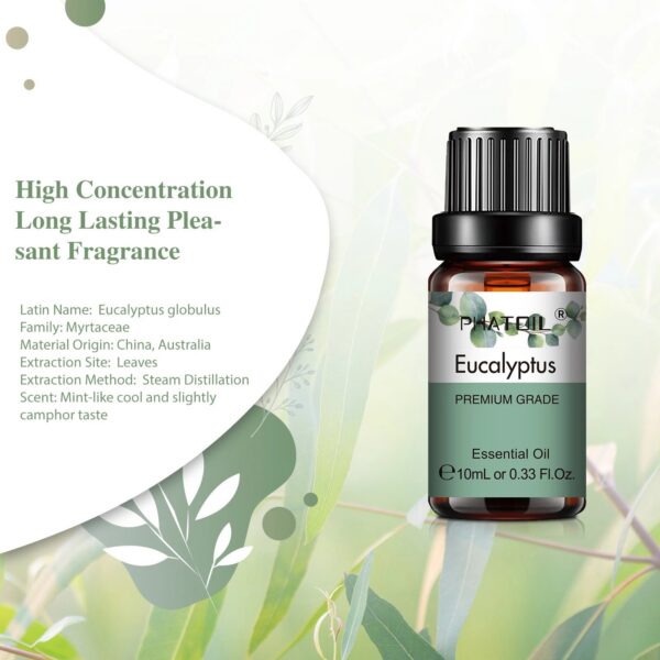 ff7e10eaf0d6d7a5 PHATOIL 10ml Vanilla Eessential Oil for Aroma Candles Making Spa Massage Humidifier Sandalwood Black Pepper Ginger Tea Tree