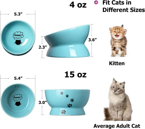 Y YHY Raised Cat Food Bowl Set, Ceramic, Tilted Elevated Bowls, 2 Bowls, 3.6 in & 3 in, White